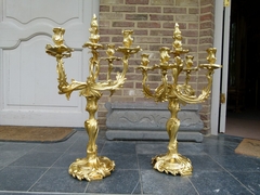 Louis 15 Pair candelabra in gilded bronze 